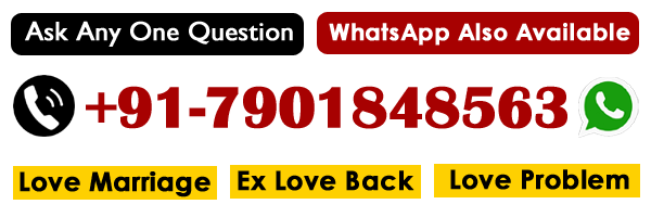 World Famous Astrologer Anuj Shastri Ji +91-7901848563